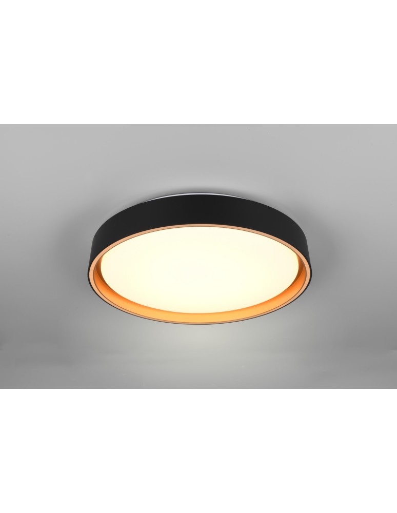 LED ceiling lamps - RL Ceiling FELIS R64391080 - product kolory-swiatla.pl 7