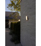 Outdoor wall lamps - Lutec Outdoor Wall Mounted KITE 5203301345 - product 2