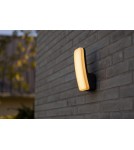 Outdoor wall lamps - Lutec Outdoor Wall Mounted KITE 5203301345 - product 3