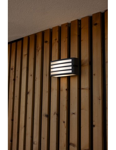 Lutec Outdoor Wall Mounted ZEBRA 5203501118 - product 2
