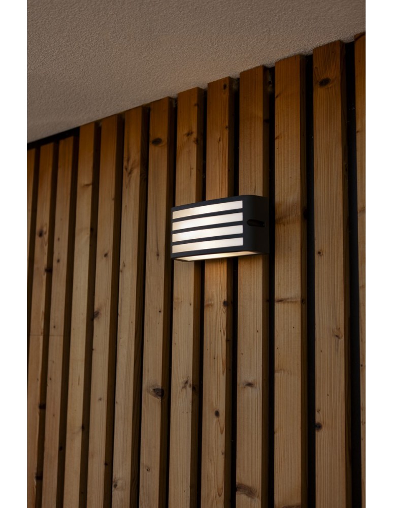 Outdoor wall lamps - Lutec Outdoor Wall Mounted ZEBRA 5203501118 - product kolory-swiatla.pl 2