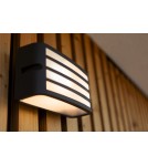 Outdoor wall lamps - Lutec Outdoor Wall Mounted ZEBRA 5203501118 - product 3