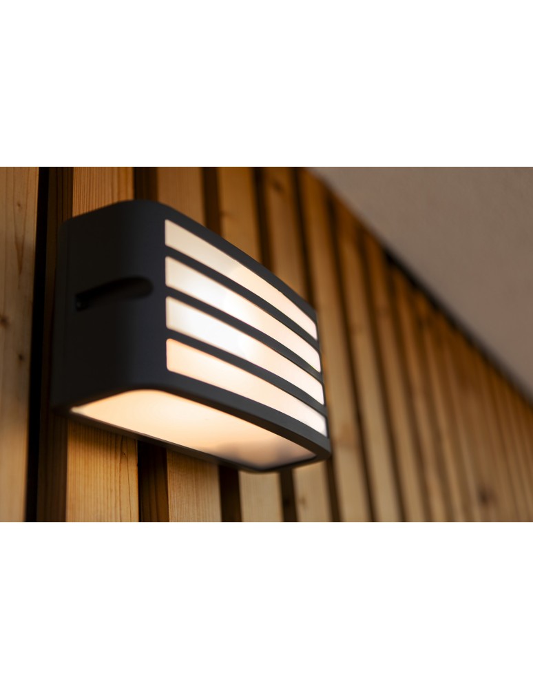 Outdoor wall lamps - Lutec Outdoor Wall Mounted ZEBRA 5203501118 - product kolory-swiatla.pl 3