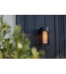 Outdoor wall lamps - Lutec Outdoor Wall SHYNE 5212601012 - product 5