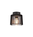 Outdoor ceiling lamps - Lutec Outdoor Ceiling SHYNE 6397501012 - product 1