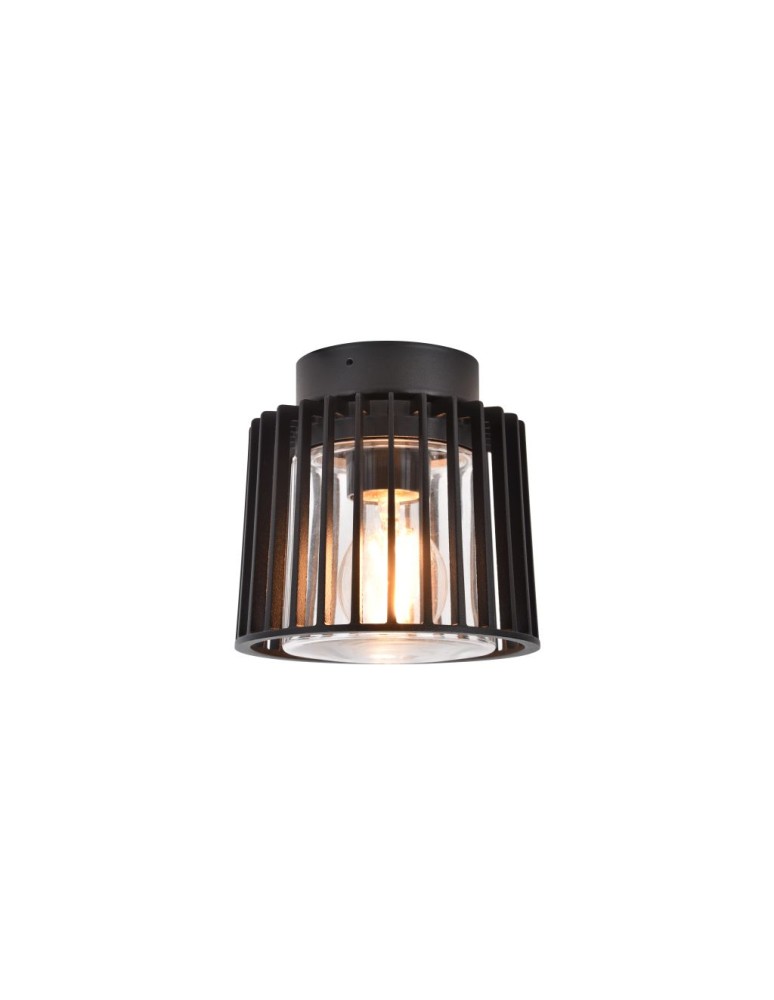 Outdoor ceiling lamps - Lutec Outdoor Ceiling SHYNE 6397501012 - product kolory-swiatla.pl 1