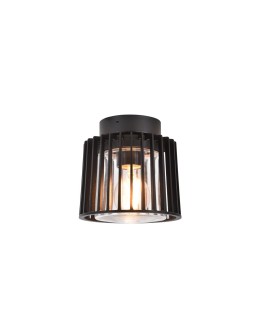 Lutec Outdoor Ceiling SHYNE 6397501012