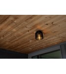 Outdoor ceiling lamps - Lutec Outdoor Ceiling SHYNE 6397501012 - product 3
