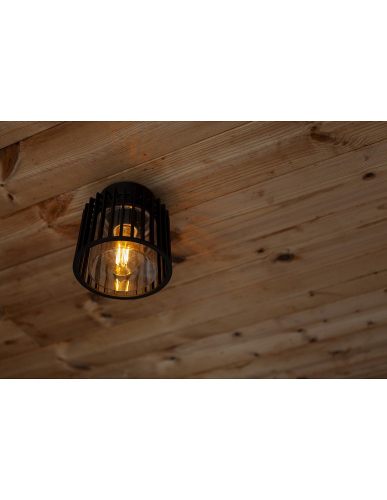Outdoor ceiling lamps - Lutec Outdoor Ceiling SHYNE 6397501012 - product kolory-swiatla.pl 4