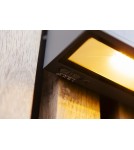 Outdoor wall lamps - Lutec Outdoor Solar Hybrid INKA HYBRID 6989101118 - product 6