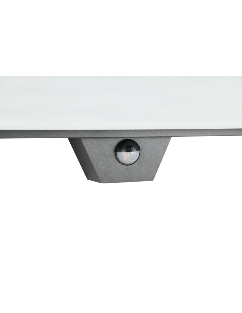 Outdoor lights with motion sensor - Trio Outdoor Wall-mounted MARIZA - MOVEMENT SENSOR 247069142 - product kolory-swiatla.pl 6