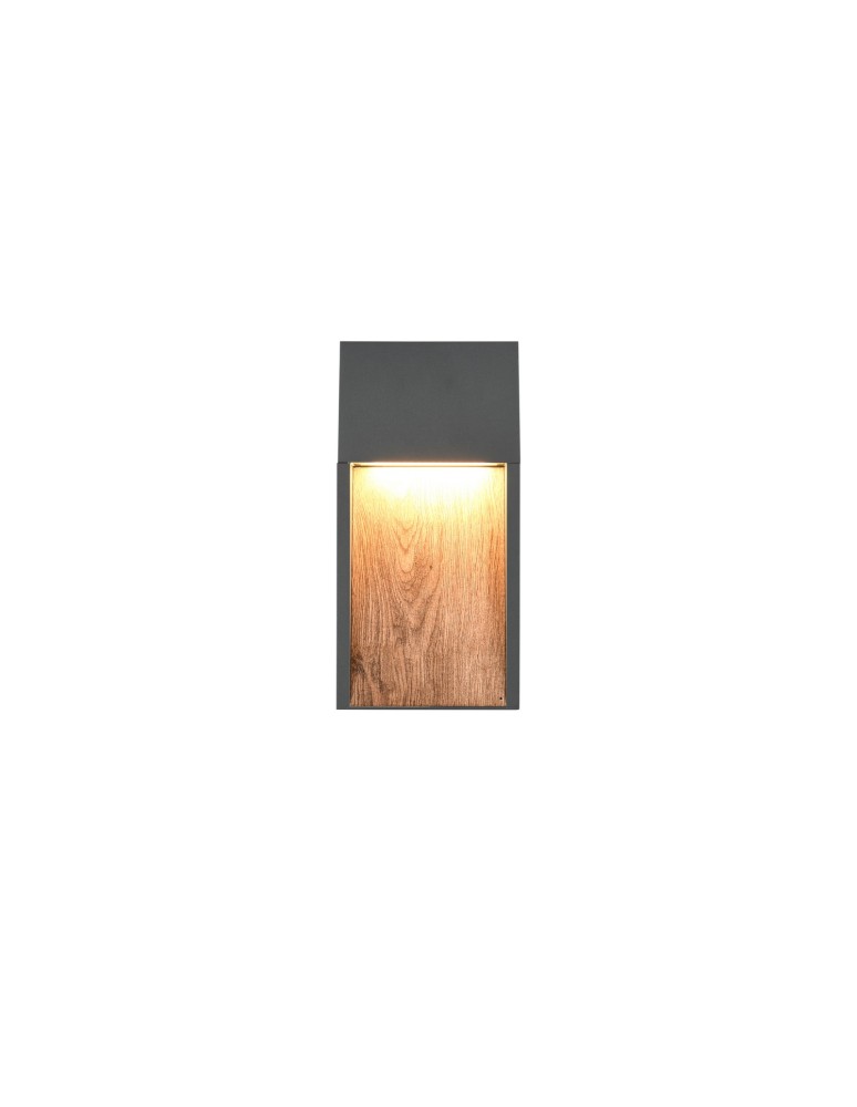 Outdoor wall lamps - Trio Outdoor Wall Mount SALMON 246960135 - product kolory-swiatla.pl 2