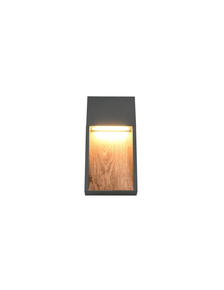 Outdoor wall lamps - Trio Outdoor Wall Mount SALMON 246960135 - product kolory-swiatla.pl 3