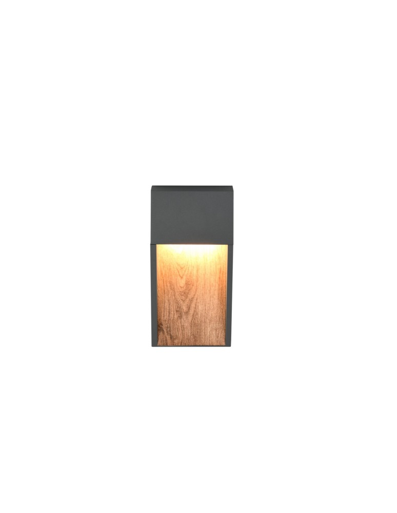 Outdoor wall lamps - Trio Outdoor Wall Mount SALMON 246960135 - product kolory-swiatla.pl 4