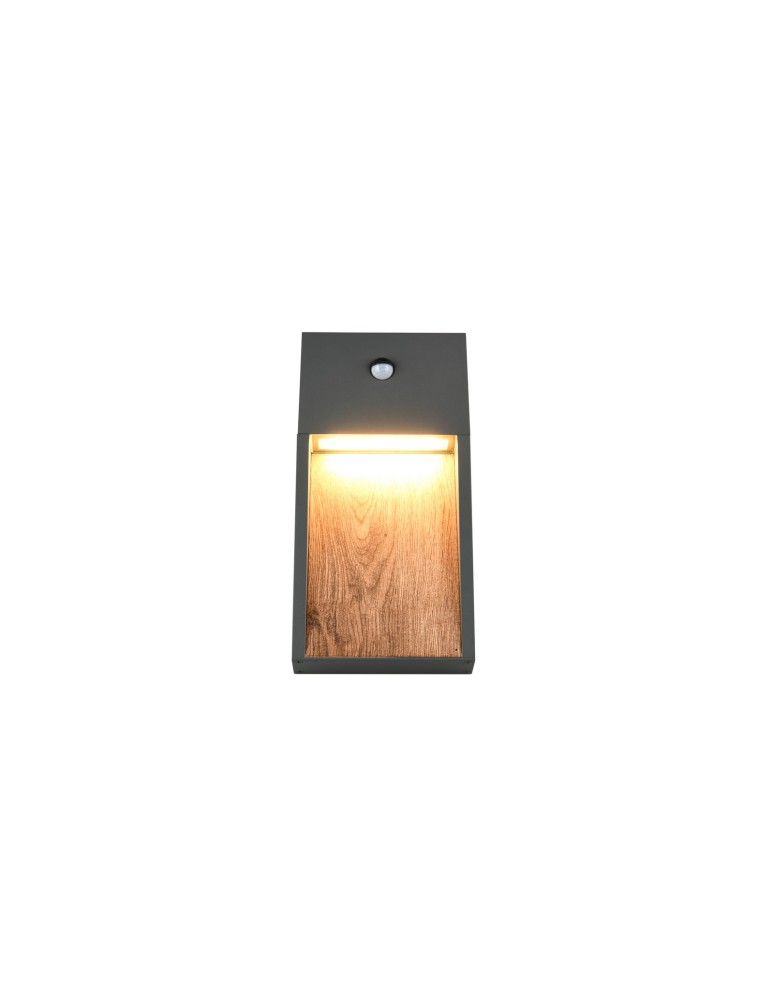 Outdoor lights with motion sensor - Trio Outdoor Wall Mount SALMON - MOVEMENT SENSOR 246969135 - product kolory-swiatla.pl 3