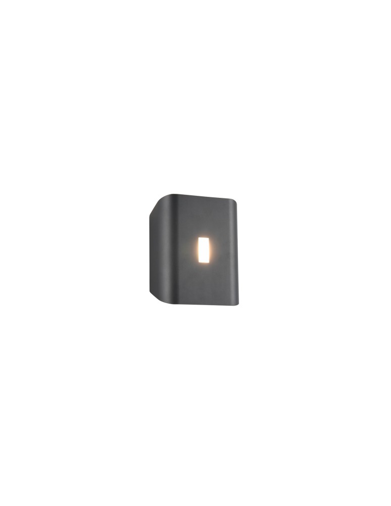 Outdoor wall lamps - Trio Outdoor Wall Mount SANTERNO 246660342 - product kolory-swiatla.pl 1