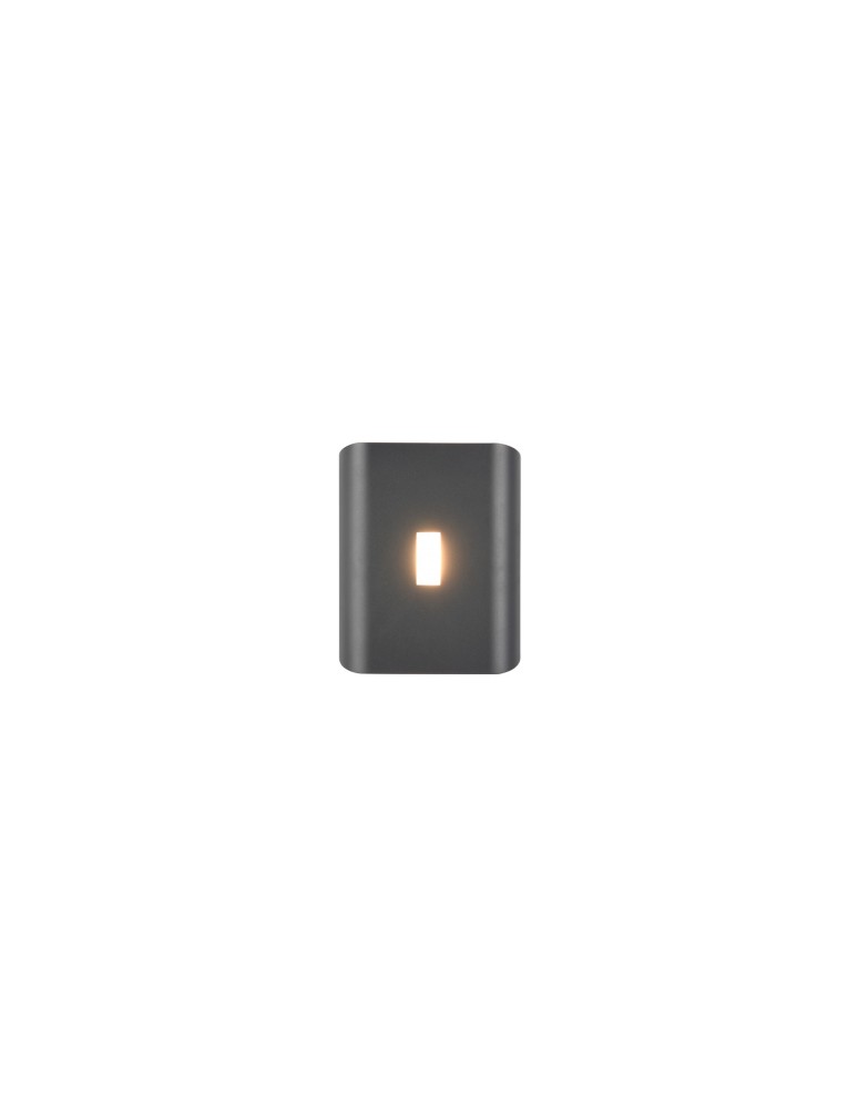 Outdoor wall lamps - Trio Outdoor Wall Mount SANTERNO 246660342 - product kolory-swiatla.pl 2
