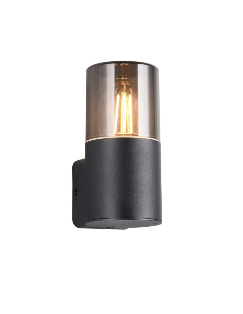 Outdoor wall lamps - Trio Outdoor Wall-mounted HOOSIC 224060132 - product kolory-swiatla.pl 1