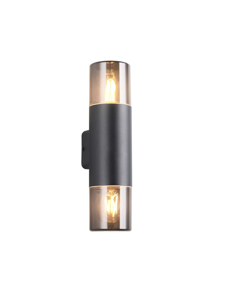 Outdoor wall lamps - Trio Outdoor Wall-mounted HOOSIC 224060232 - product kolory-swiatla.pl 1