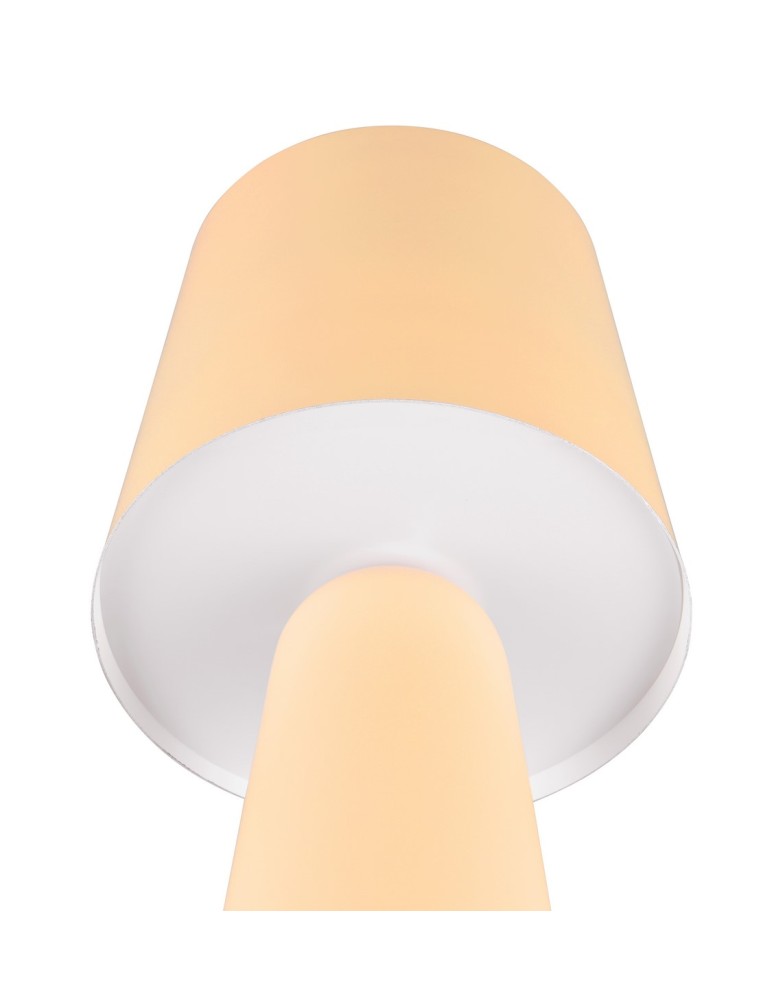 Table lamps - Trio Table NUBIAN 562900144 - product kolory-swiatla.pl 5