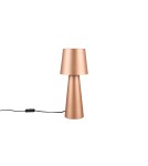 Table lamps - Trio Table NUBIAN 562900165 - product 6