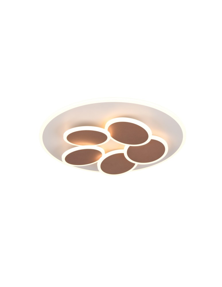 LED ceiling lamps - Trio Ceiling MANDALA 653210676 - product kolory-swiatla.pl 1