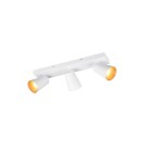 Spotlight ceiling lamps - Trio SHARP Ceiling/Wall Spotlight 817100331 - product 1