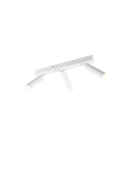 Trio AMBALA Ceiling Spotlight 849210331