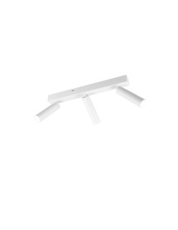 Trio AMBALA Ceiling Spotlight 849210331 - product 2
