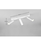 Spotlight ceiling lamps - Trio AMBALA Ceiling Spotlight 849210331 - product 7