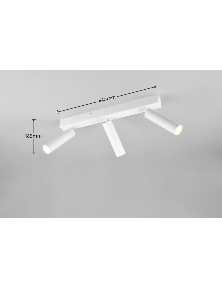 Spotlight ceiling lamps - Trio AMBALA Ceiling Spotlight 849210331 - product kolory-swiatla.pl 7