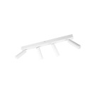 Spotlight ceiling lamps - Trio AMBALA Ceiling Spotlight 849210431 - product 6