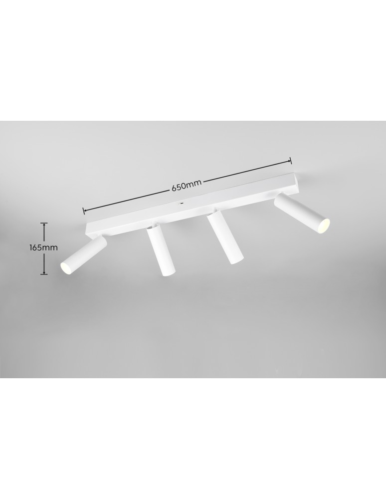 Spotlight ceiling lamps - Trio AMBALA Ceiling Spotlight 849210431 - product kolory-swiatla.pl 7