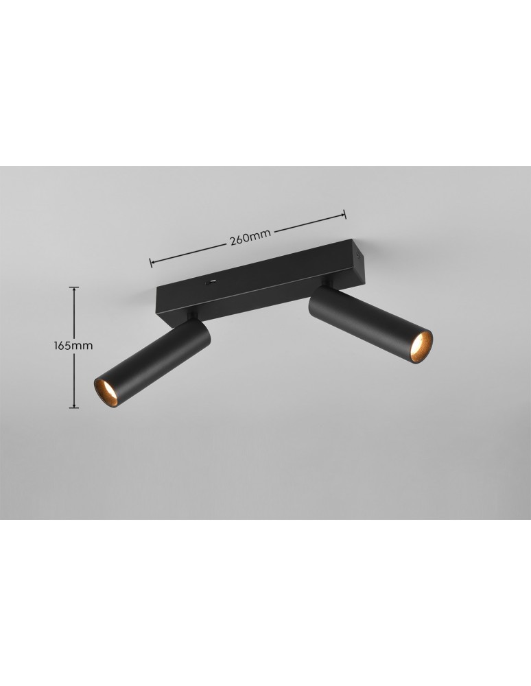 Spotlight ceiling lamps - Trio AMBALA Ceiling/Wall Spotlight 849210232 - product kolory-swiatla.pl 7