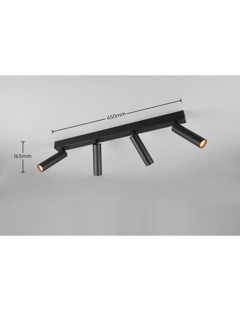 Spotlight ceiling lamps - Trio AMBALA Ceiling Spotlight 849210432 - product kolory-swiatla.pl 7