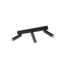 Spotlight ceiling lamps - Trio AMBALA Ceiling Spotlight 849210332 - product 1