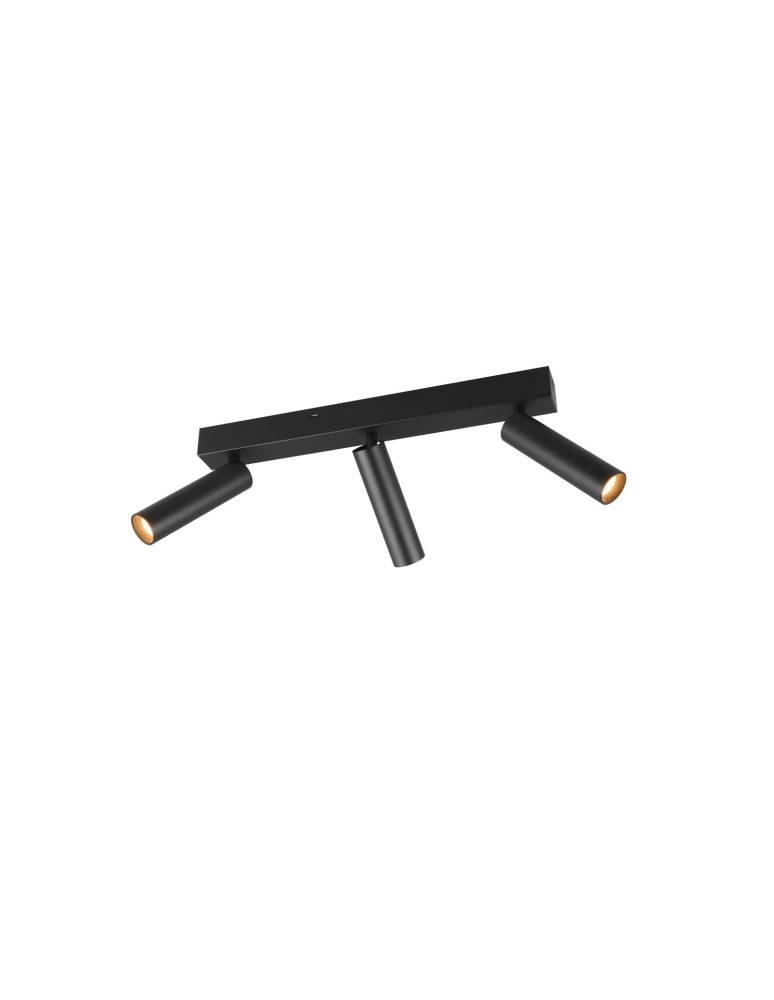 Spotlight ceiling lamps - Trio AMBALA Ceiling Spotlight 849210332 - product kolory-swiatla.pl 1