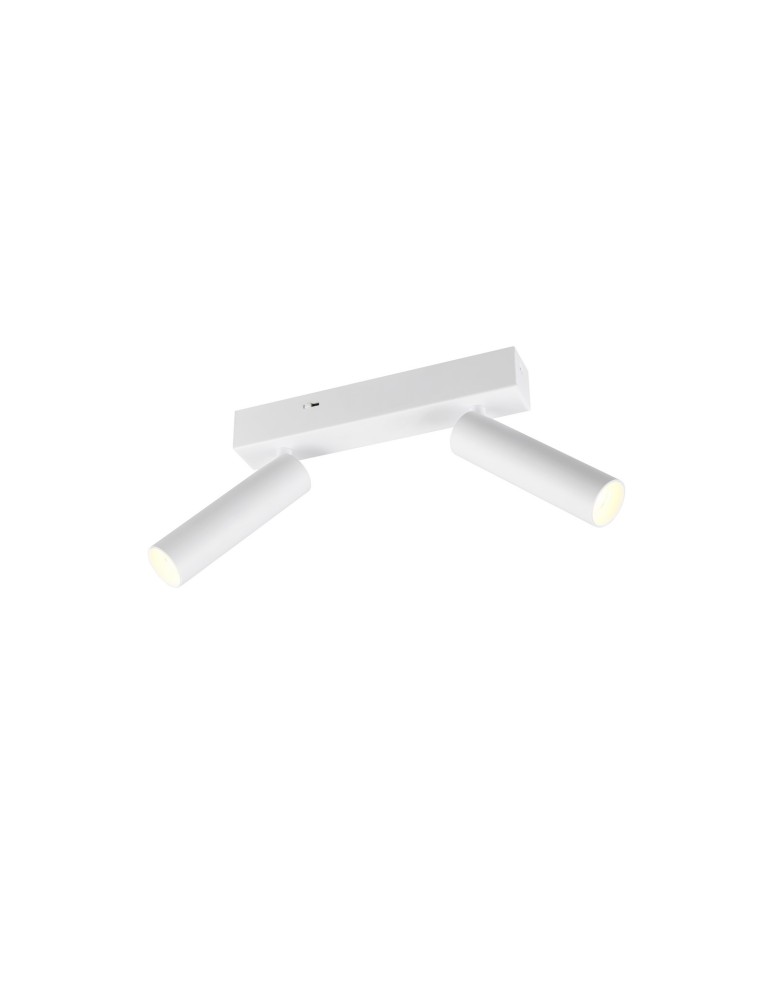 Spotlight ceiling lamps - Trio AMBALA Ceiling/Wall Spotlight 849210231 - product kolory-swiatla.pl 1