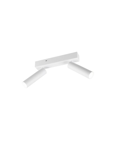 Trio AMBALA Ceiling/Wall Spotlight 849210231 - product 2