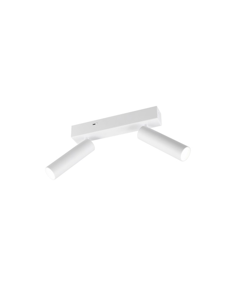 Spotlight ceiling lamps - Trio AMBALA Ceiling/Wall Spotlight 849210231 - product kolory-swiatla.pl 2