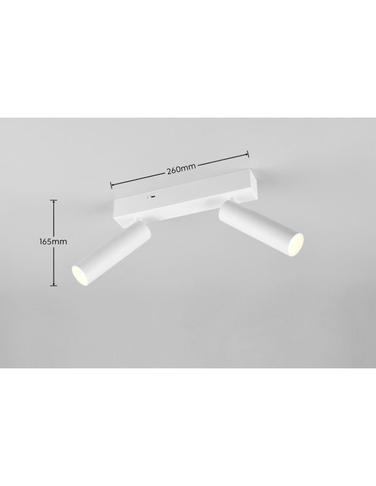 Spotlight ceiling lamps - Trio AMBALA Ceiling/Wall Spotlight 849210231 - product kolory-swiatla.pl 7