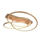 LED ceiling lamps - Trio Ceiling DARVIN 649110179 - product 1