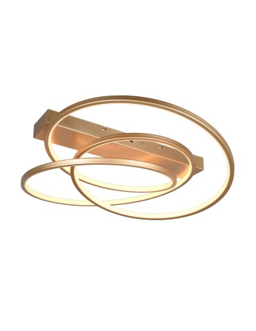 Trio Ceiling DARVIN 649110179