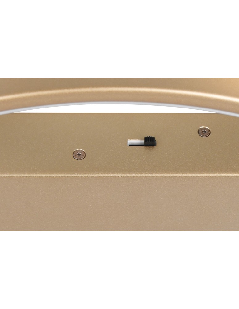 LED ceiling lamps - Trio Ceiling DARVIN 649110179 - product kolory-swiatla.pl 4