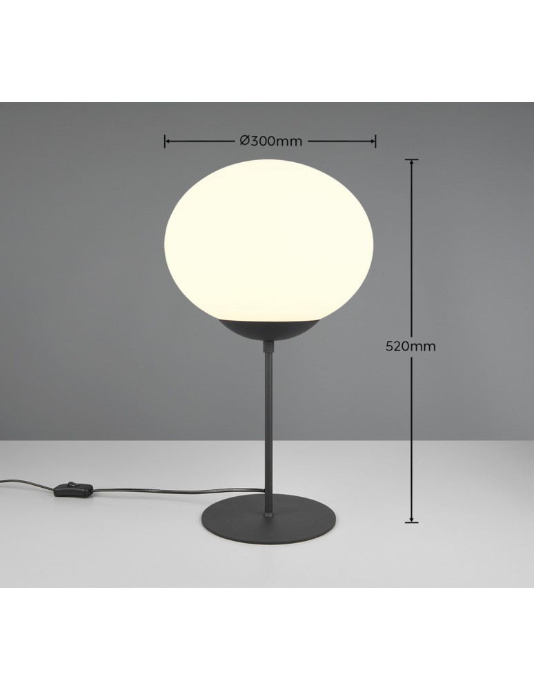 Table lamps - Trio Table FOMENTO 563100132 - product kolory-swiatla.pl 7