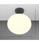 Modern ceiling lamps - Trio Ceiling FOMENTO 663100132 - product 5