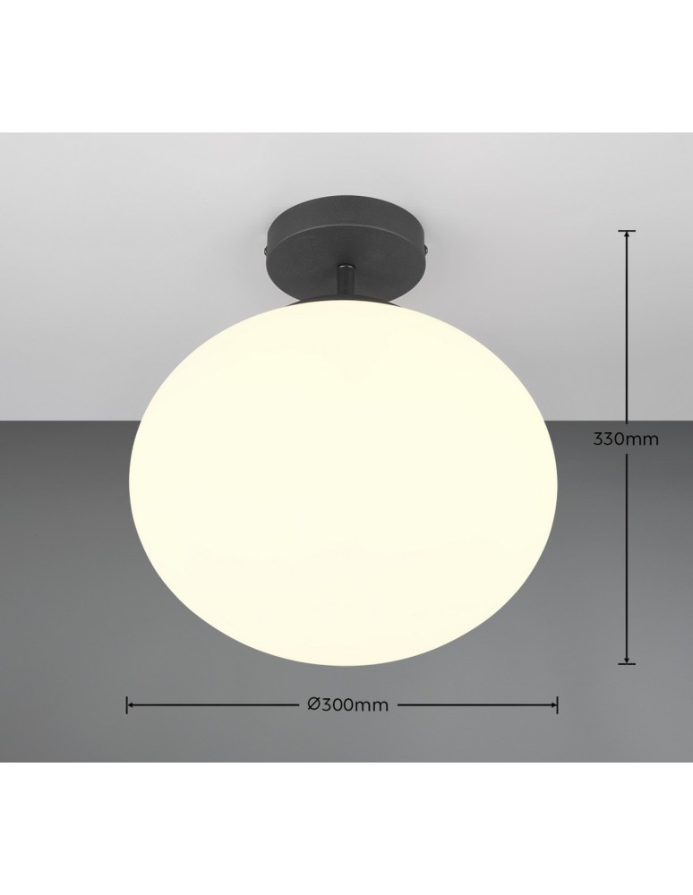 Modern ceiling lamps - Trio Ceiling FOMENTO 663100132 - product kolory-swiatla.pl 5
