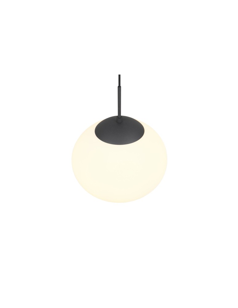 Modern pendant lamps - Trio Pendant FOMENTO 363100132 - product kolory-swiatla.pl 2