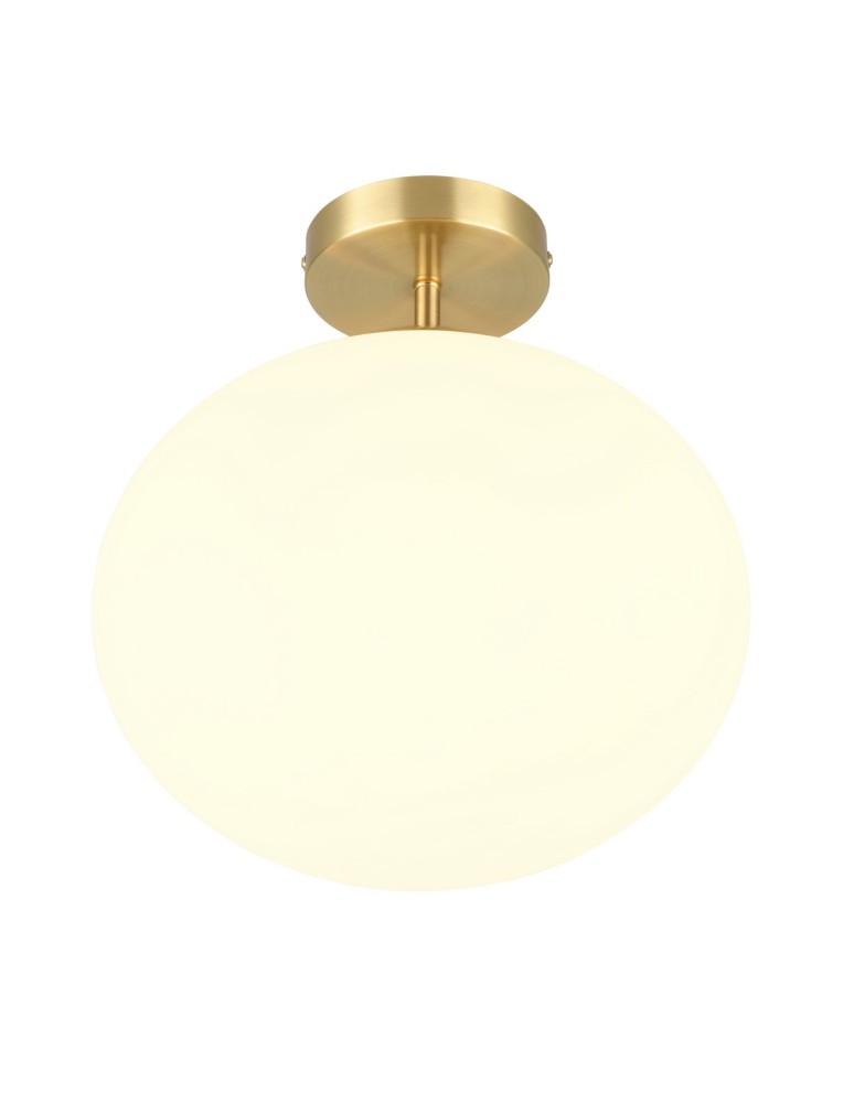 Modern ceiling lamps - Trio Ceiling FOMENTO 663100108 - product kolory-swiatla.pl 1