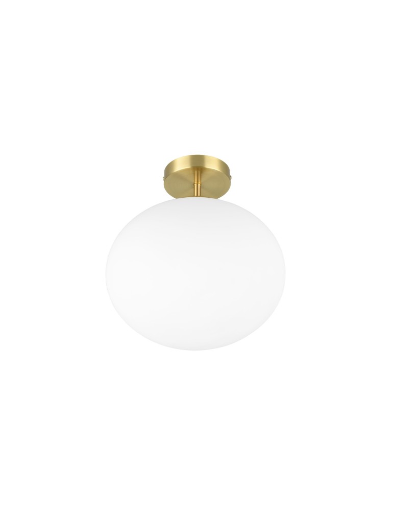 Modern ceiling lamps - Trio Ceiling FOMENTO 663100108 - product kolory-swiatla.pl 3